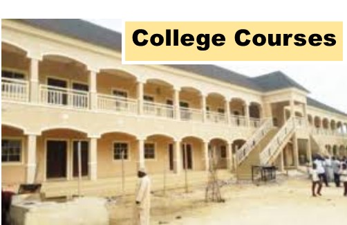 Classes & Courses Division